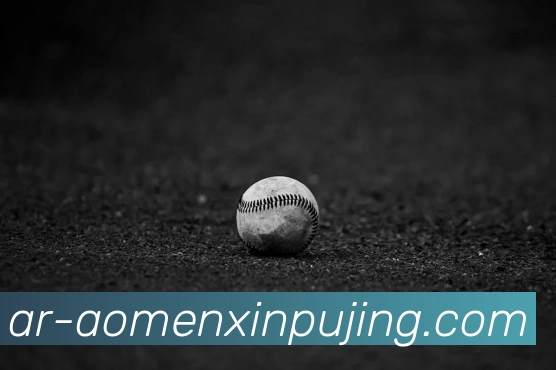 App Interface Preview